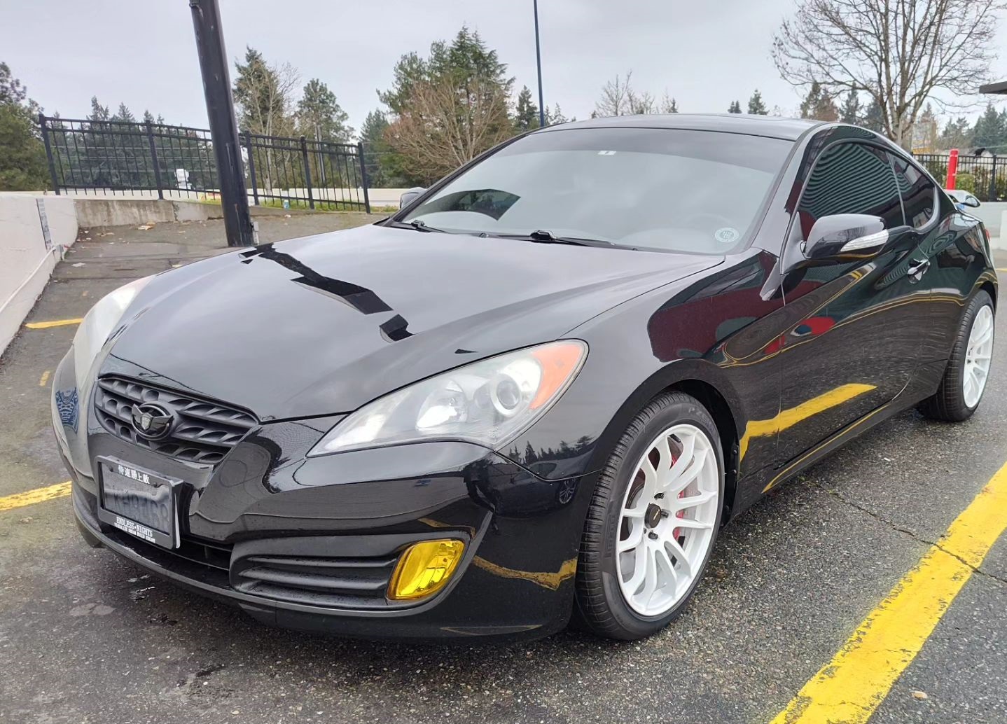 genesis coupe on avid1