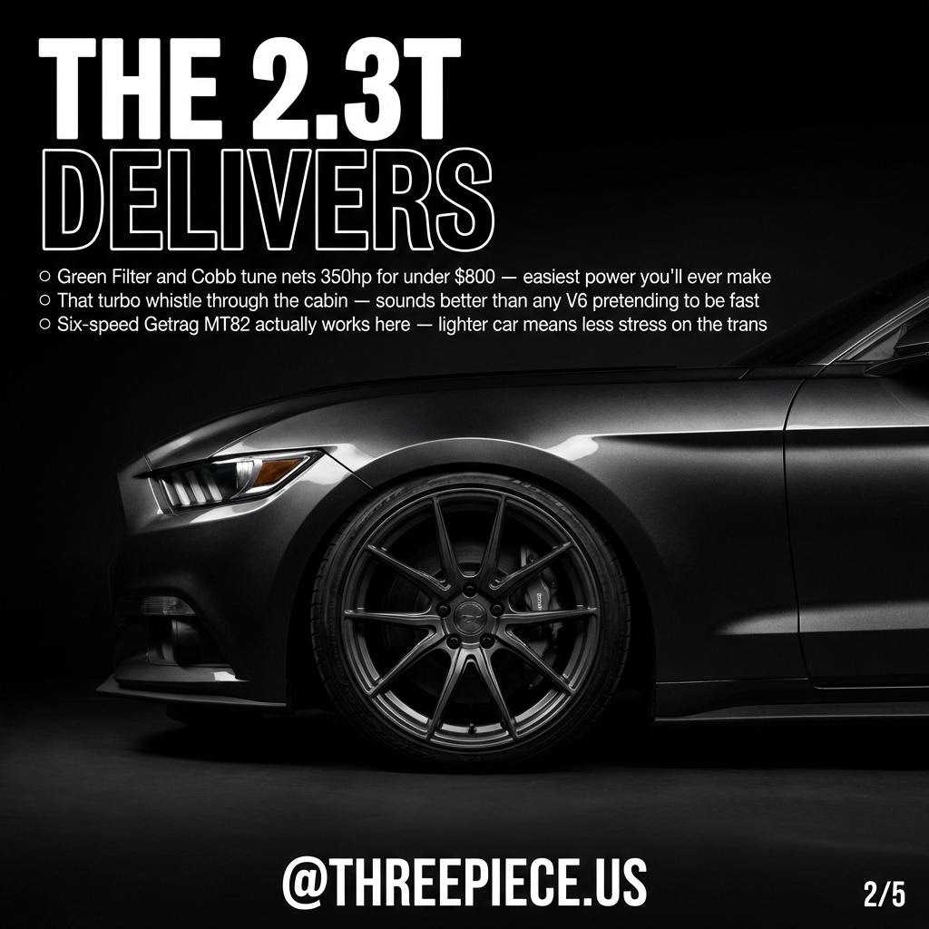 Mustang EcoBoost dyno chart showing 310hp actual output