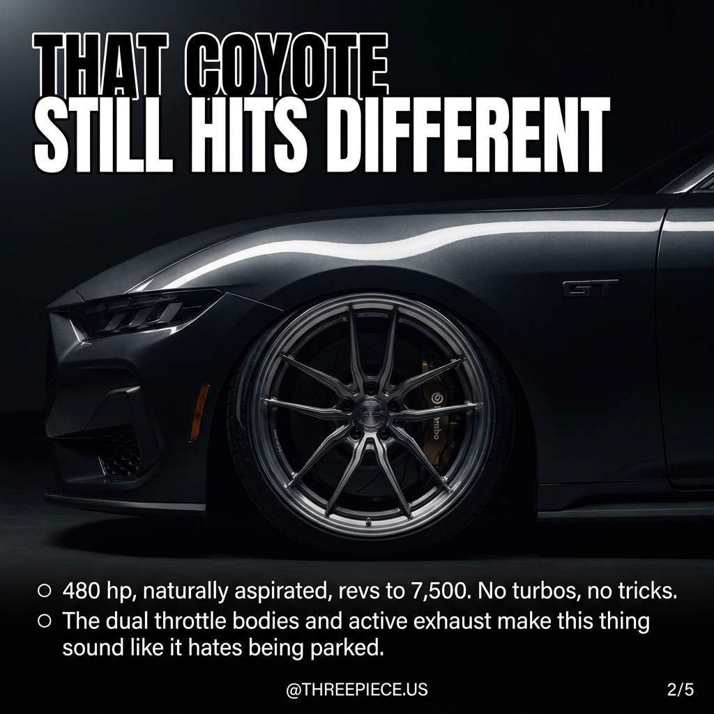 S650 Mustang GT Coyote 5.0L V8 engine bay detail