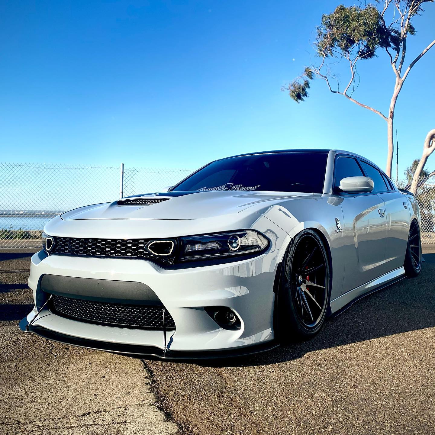 Charger on Rohana wheels and bags