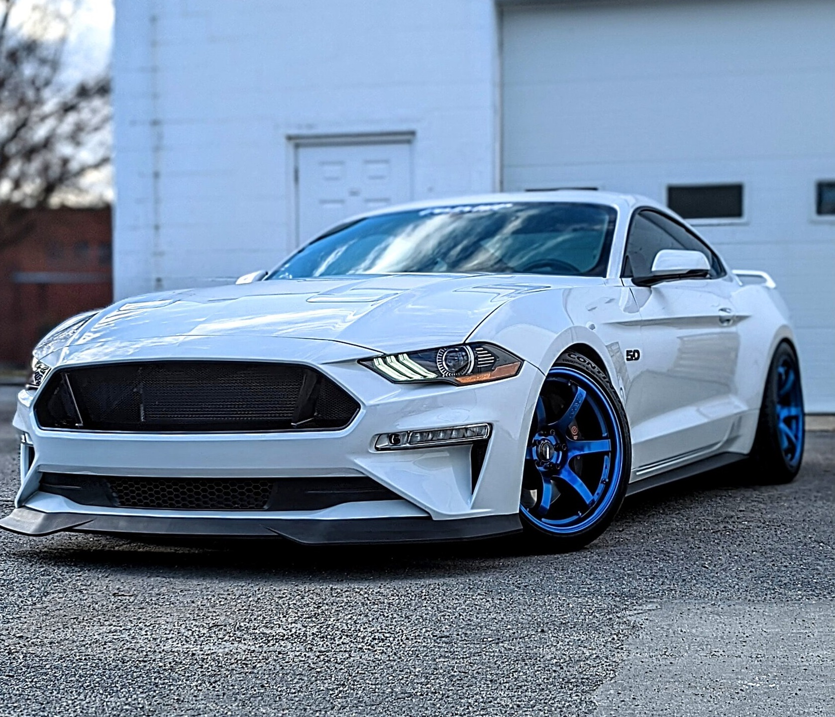 s550 mustang on wheels