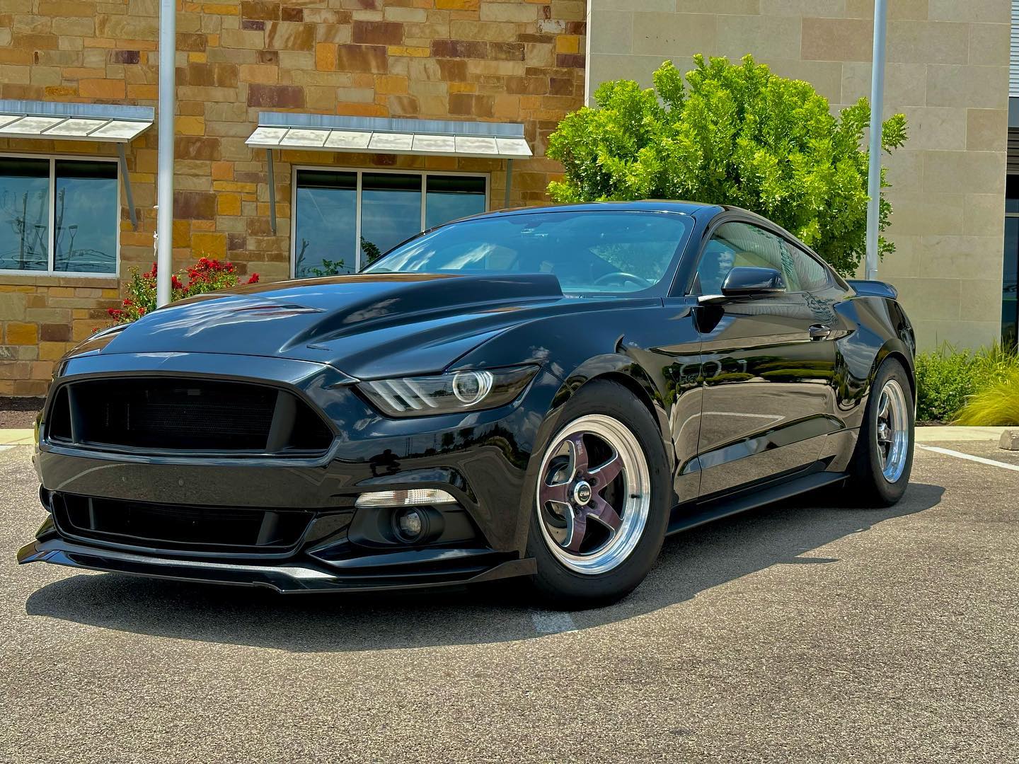 mustang 6th gen drag car